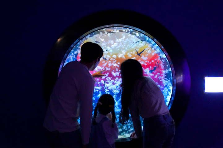 乐天世界水族馆+乐天世界门票