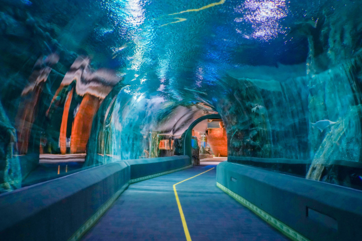 乐天世界水族馆+乐天世界门票