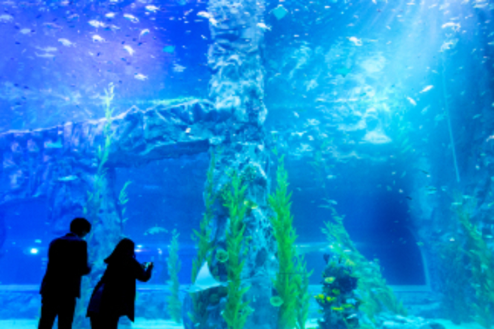 乐天世界水族馆+乐天世界门票