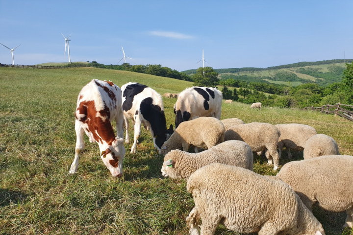 江陵人气美食朝圣两天一夜团