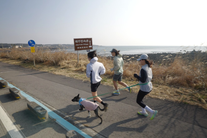 2026 SONO RUN TRIP 180K 济州岛