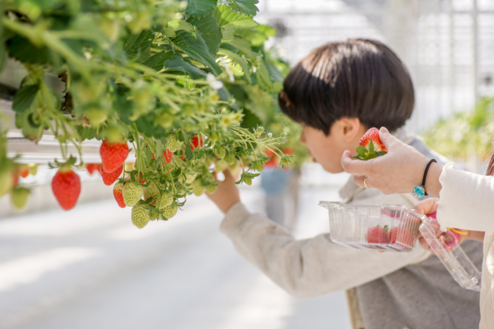<束草 K-观光纪念促销活动> 首尔出发! 江原道束草 外国人计程车 3小时
