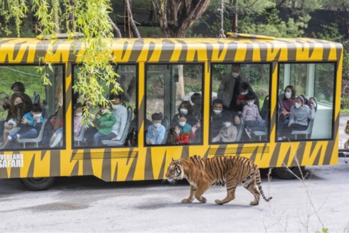 EVERLAND 爱宝乐园 Dream Tour