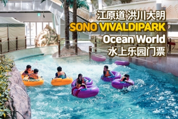 洪川大明 SONO VIVALDIPARK Ocean World水上乐园 门票