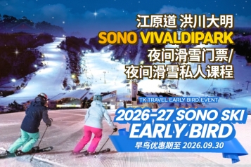 洪川大明 SONO VIVALDIPARK 夜间滑雪门票/夜间滑雪私人课程