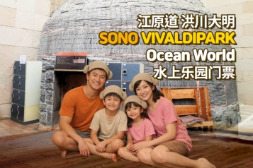 洪川大明 SONO VIVALDIPARK Ocean World水上乐园 门票